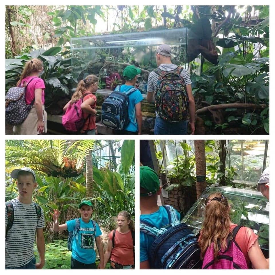 288947196 530624655518782 2586552354807244296 n