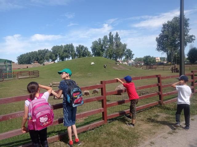 289654004 534698685111379 7131634841751591188 N